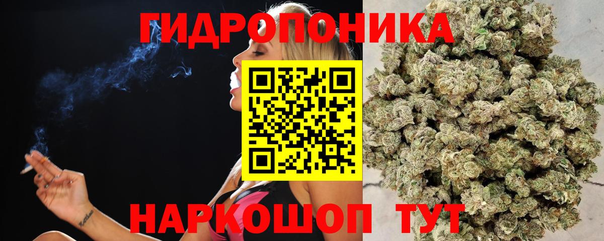 Дмитров  Каннабис планчик  Каннабис индика  Вход с VPN  Конопля Amnesia 